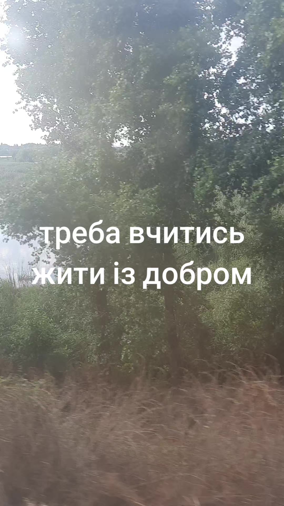 @Божена