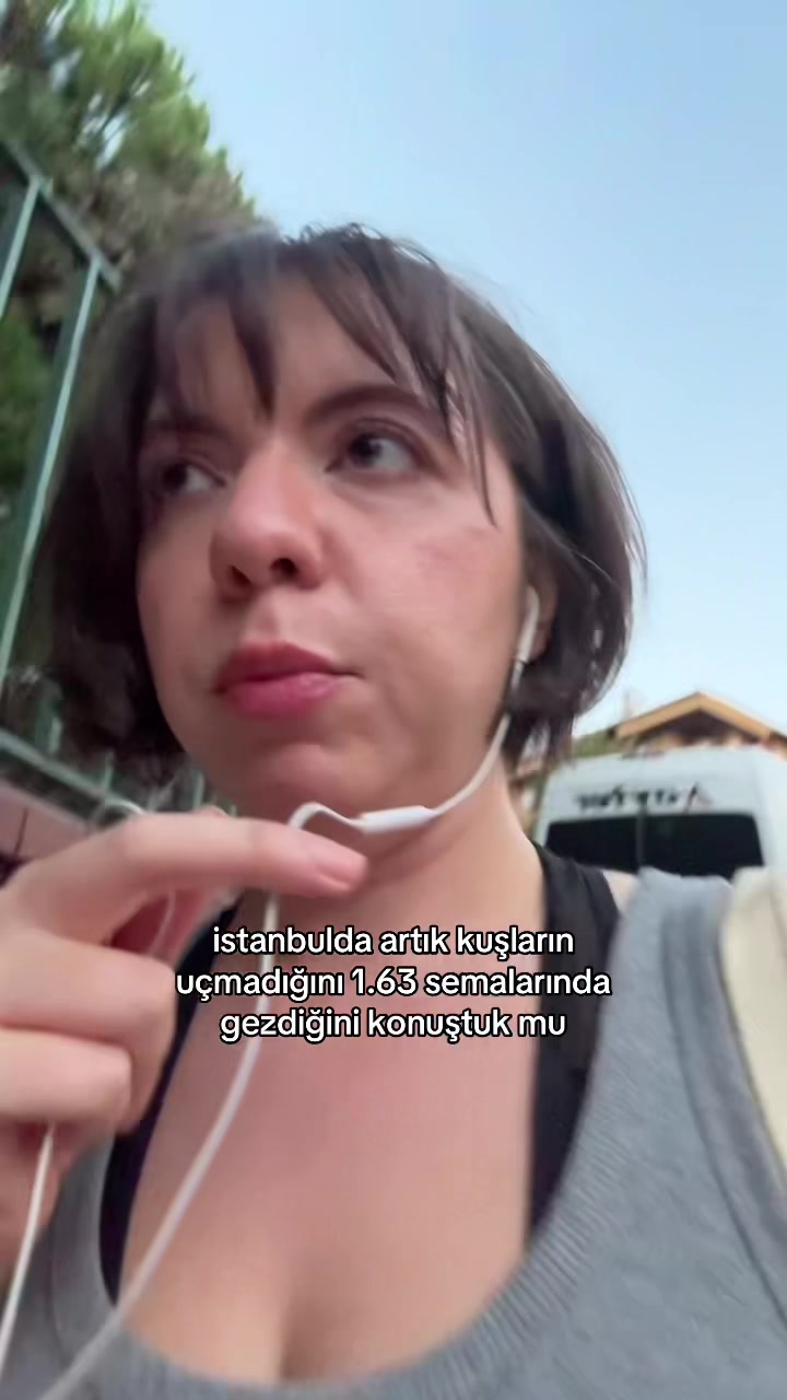 @dilara