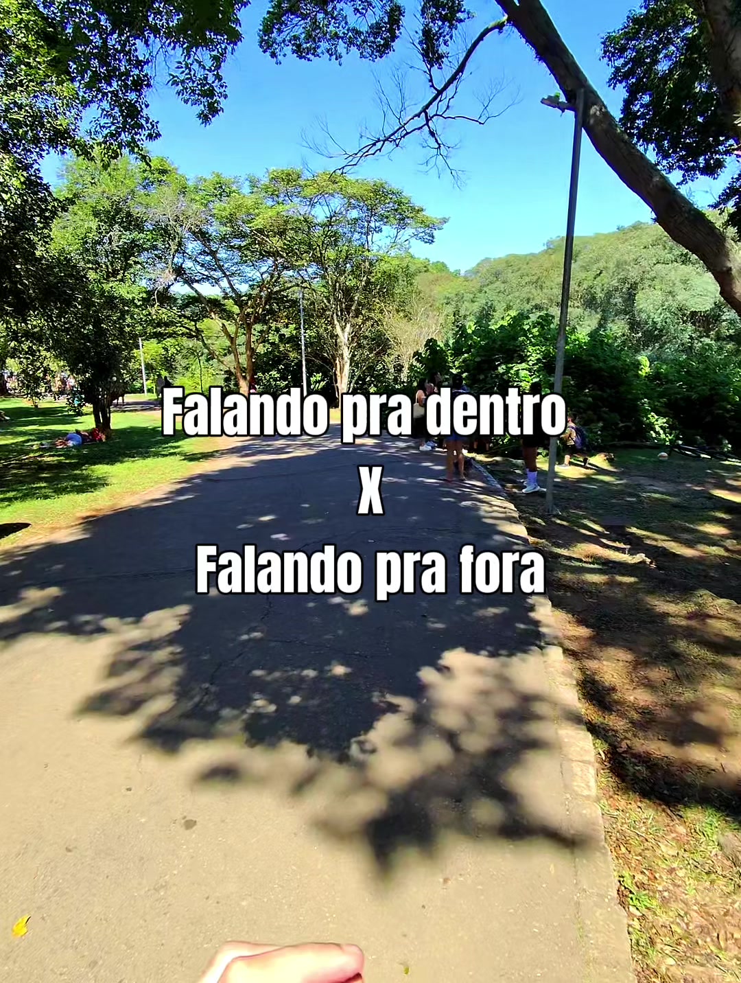 @Thiago Cosenza