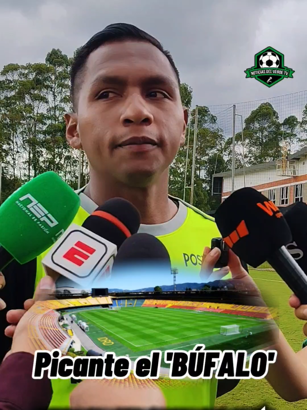 @NOTICIAS DEL VERDE