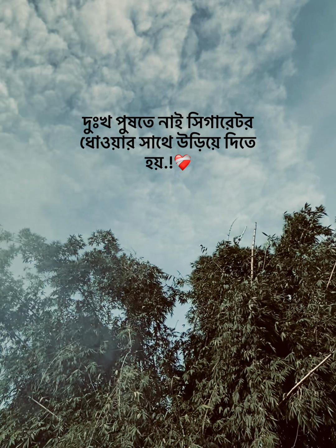 @𝐔𝐧𝐤𝐧𝐨𝐰𝐧❓