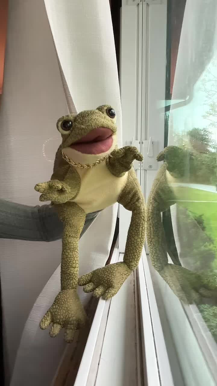 @Freddy_theFreakyFrog