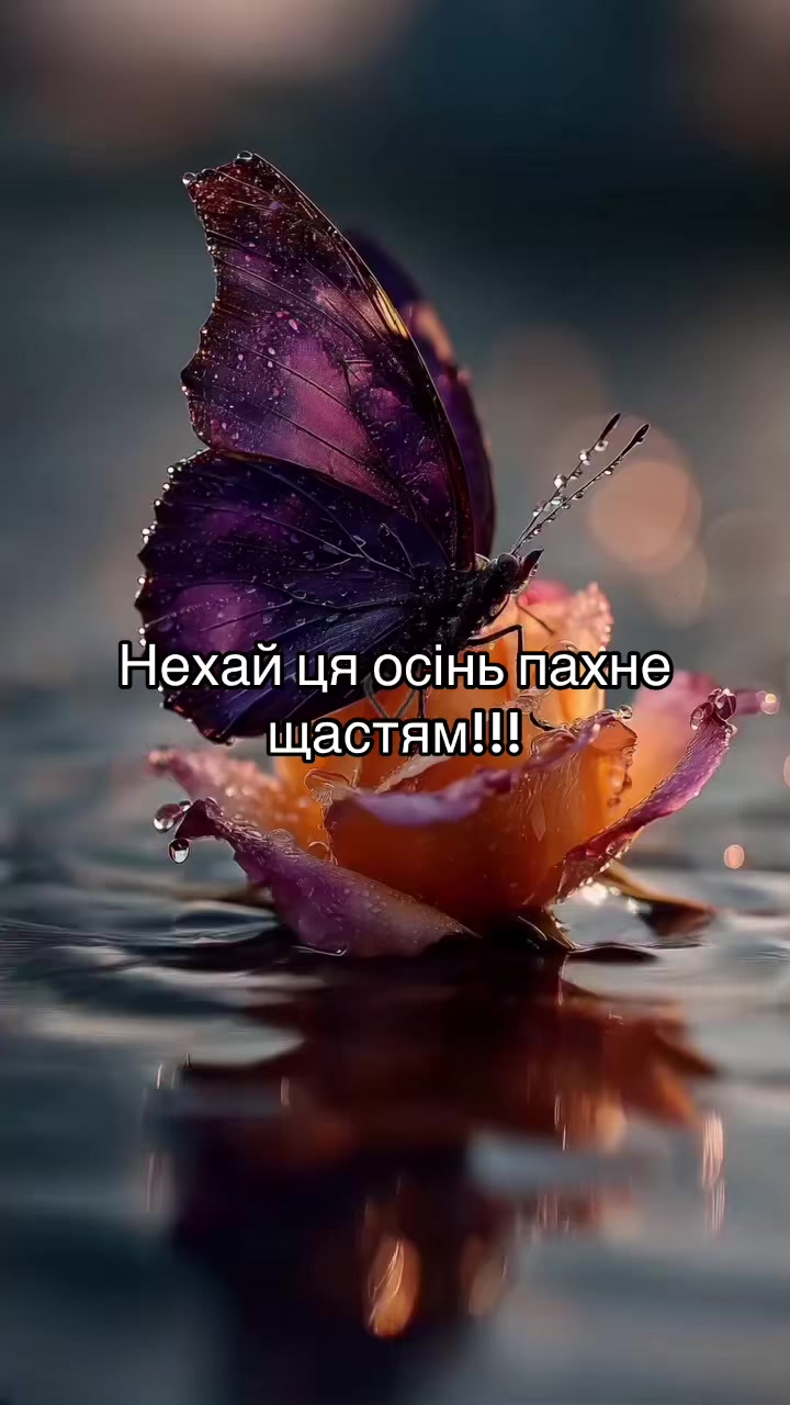 @Gmesik