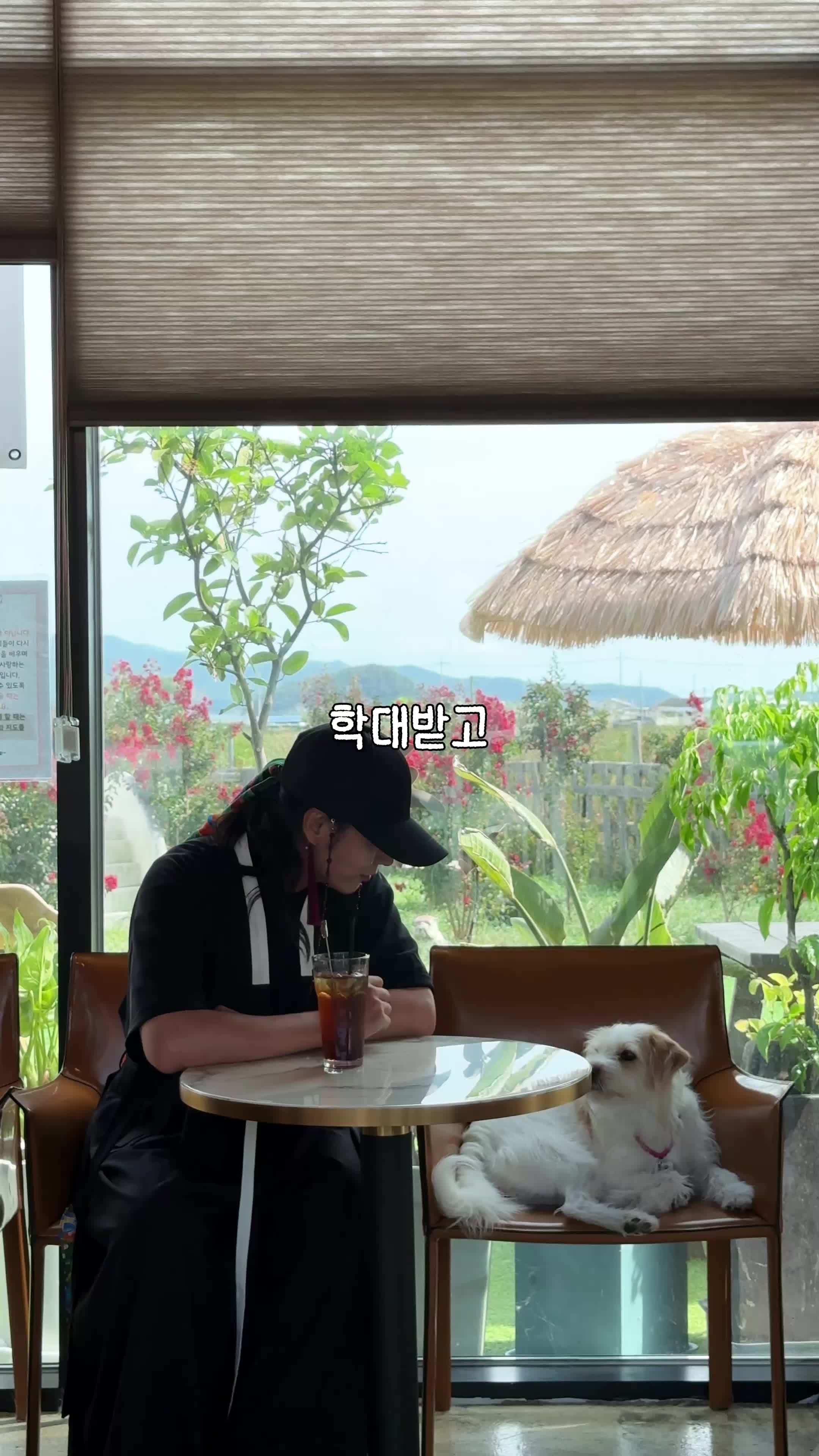 @traveler_jin