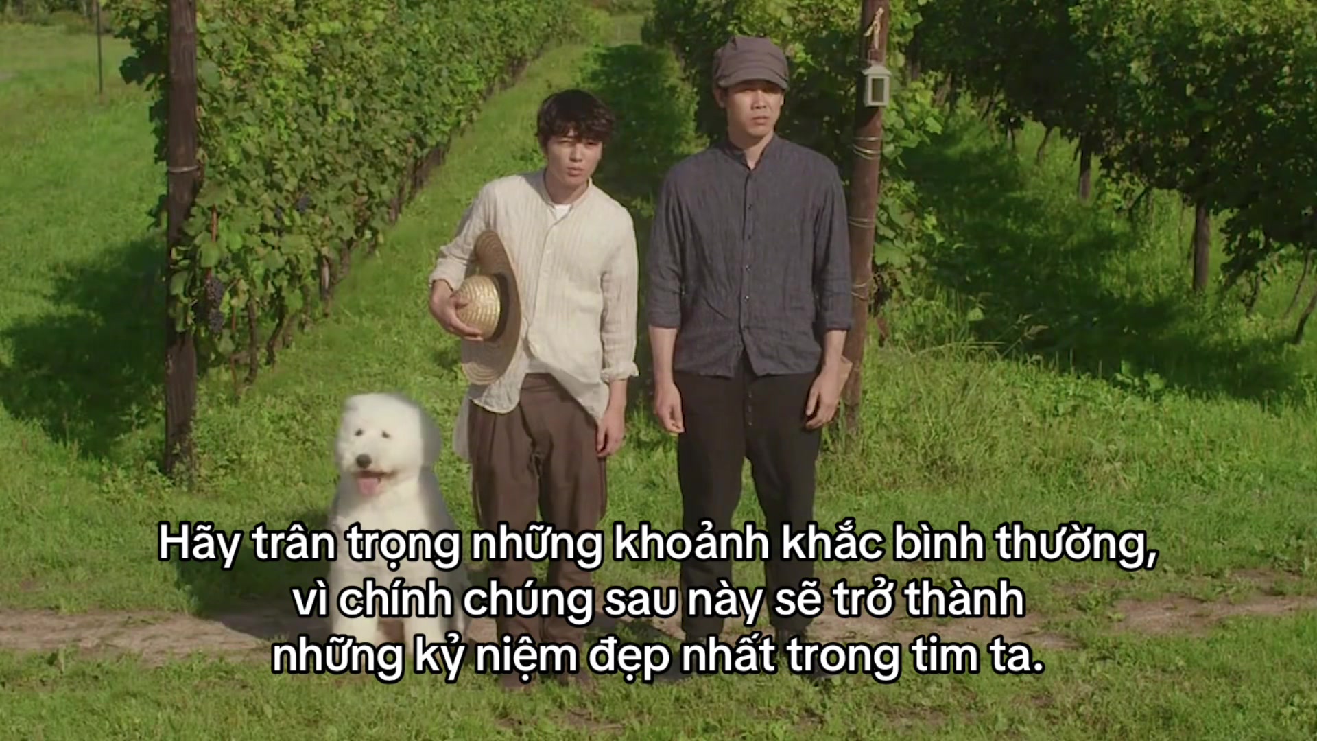 @๐๐.