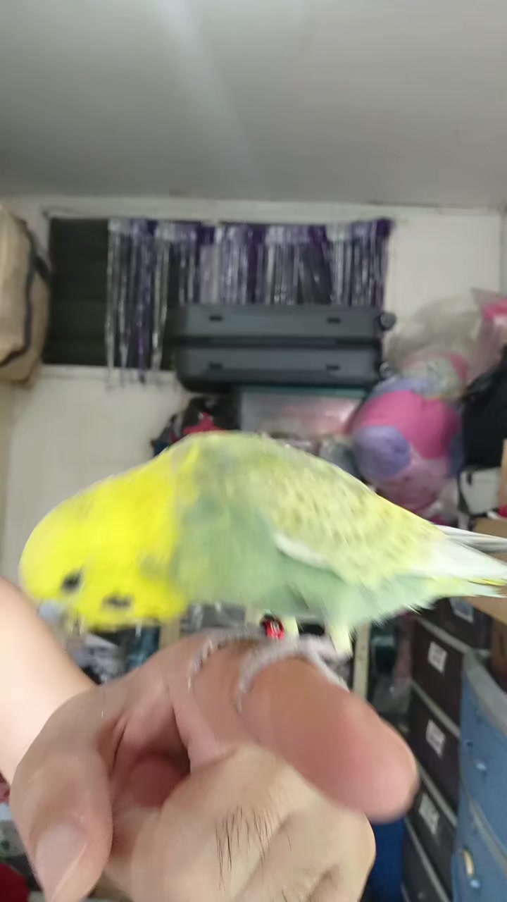 @𝑺𝒖𝒑𝒆𝒓𝑴𝒂𝒓𝒊𝒐