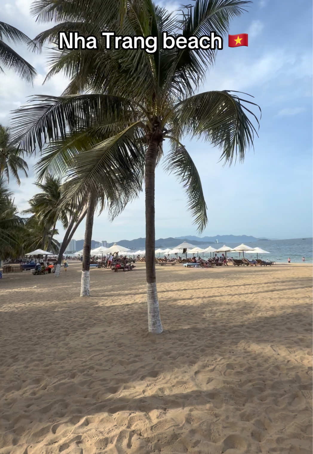 @Niek (digital nomad)