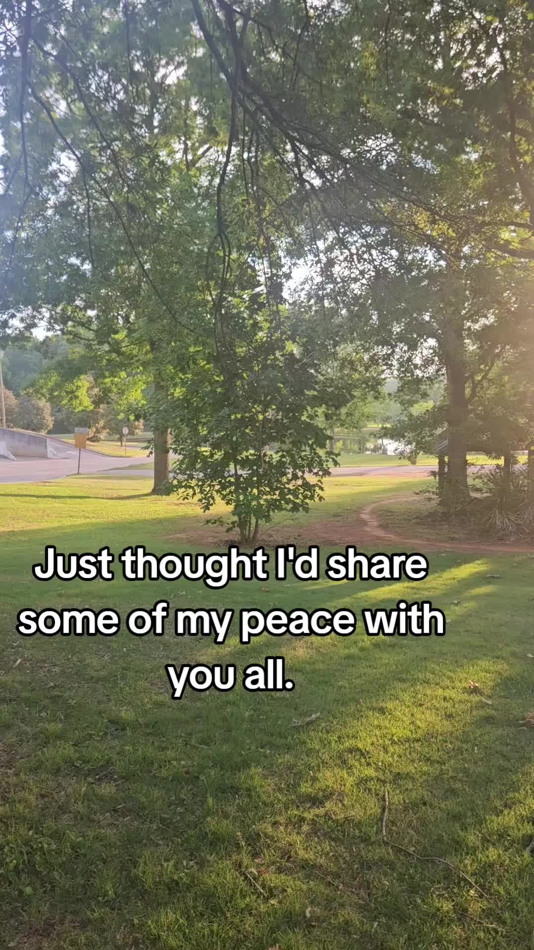 @Timmy Tim