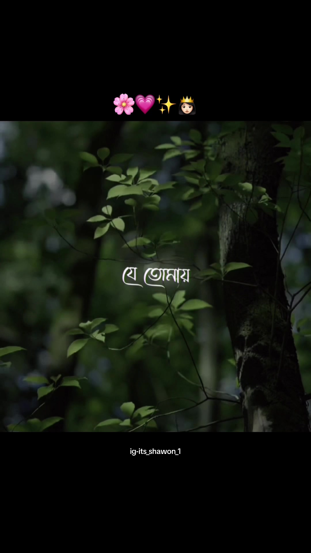 @Sᴏᴍᴇᴏɴᴇ 