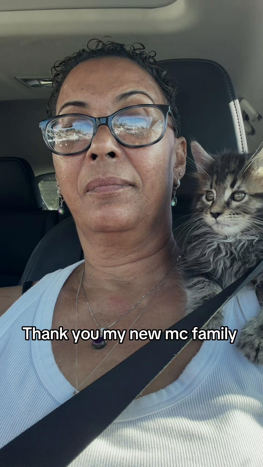 @Rosa&rsquo;s maine coon in Texas🧛