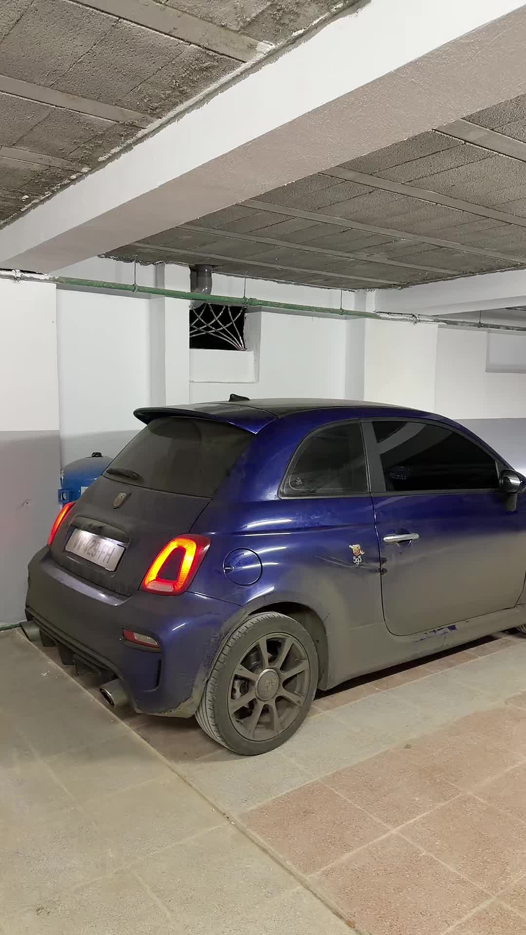 @rzg_ali_