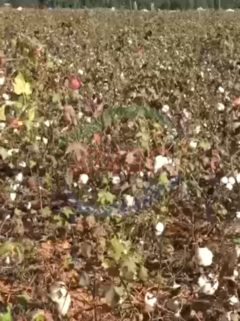 @znbctoday