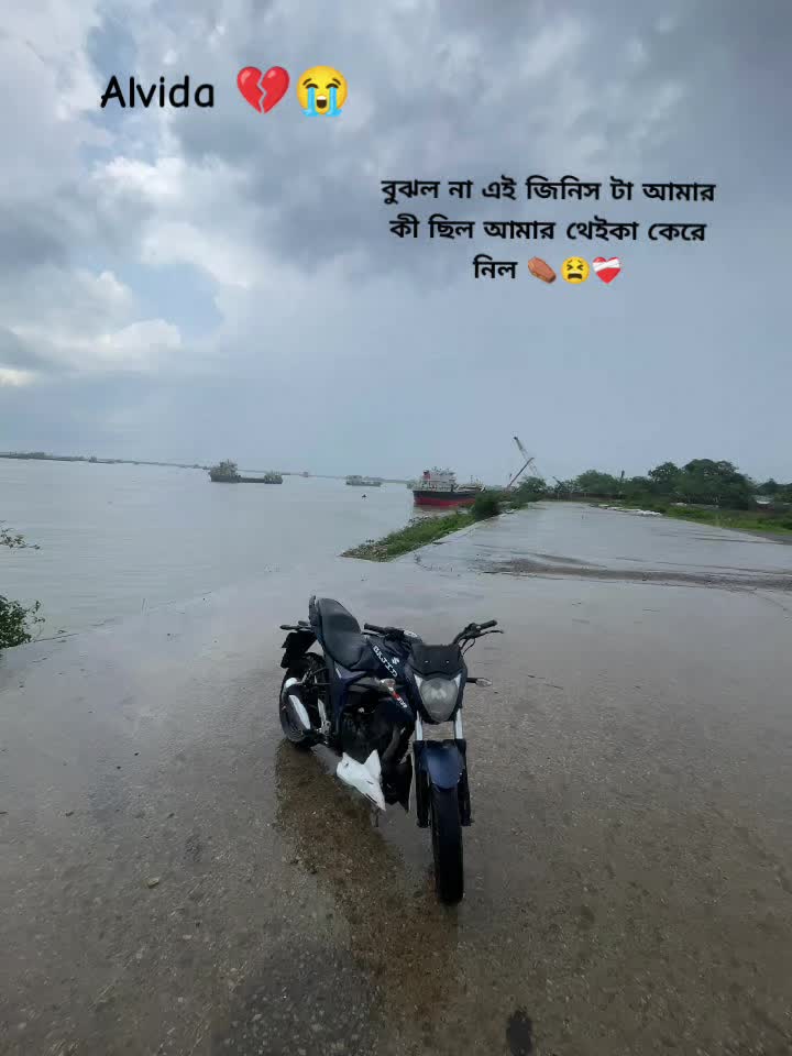 @S.A.J.I.D....... {J}