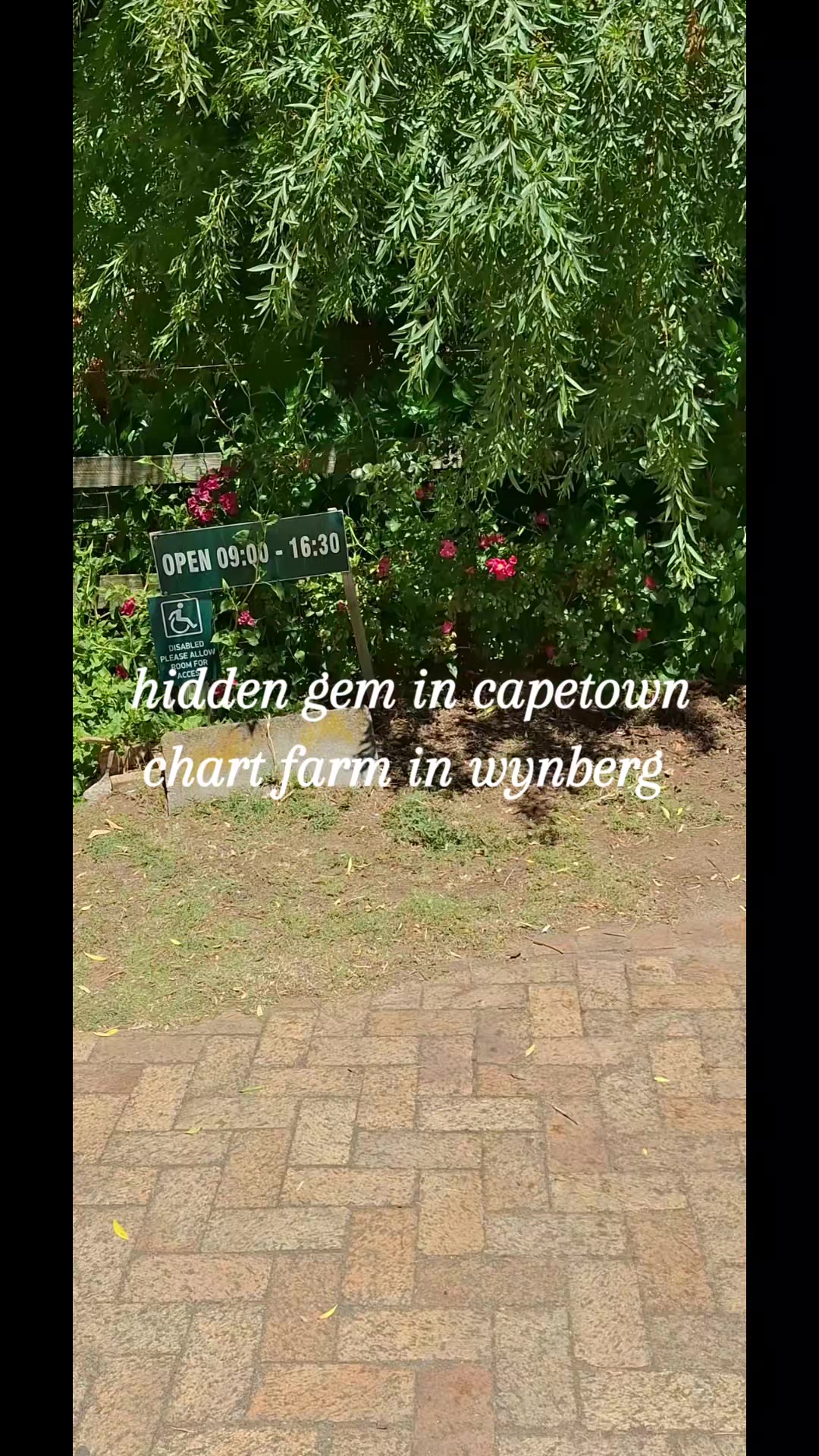 @Muneeba Solomon