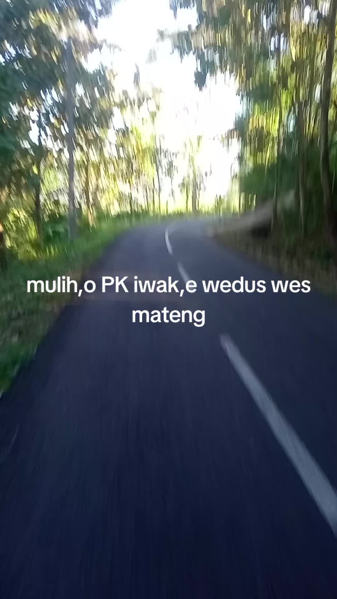 @pacocel