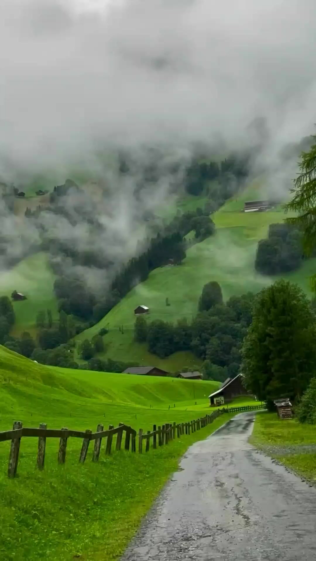 @𝐛𝐞𝐚𝐮𝐭𝐢𝐟𝐮𝐥𝘃𝗶𝗲𝘄🏞️
