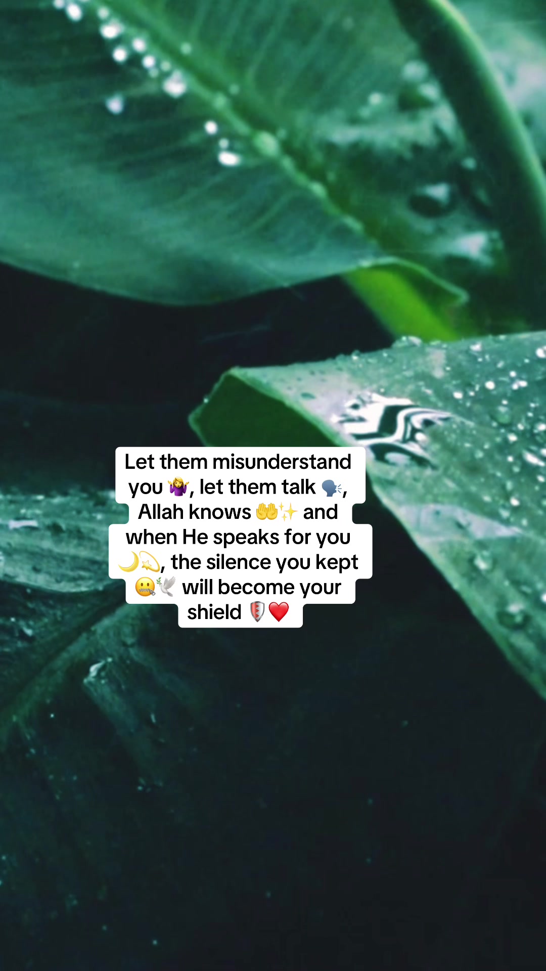 @Islamic__Motivation
