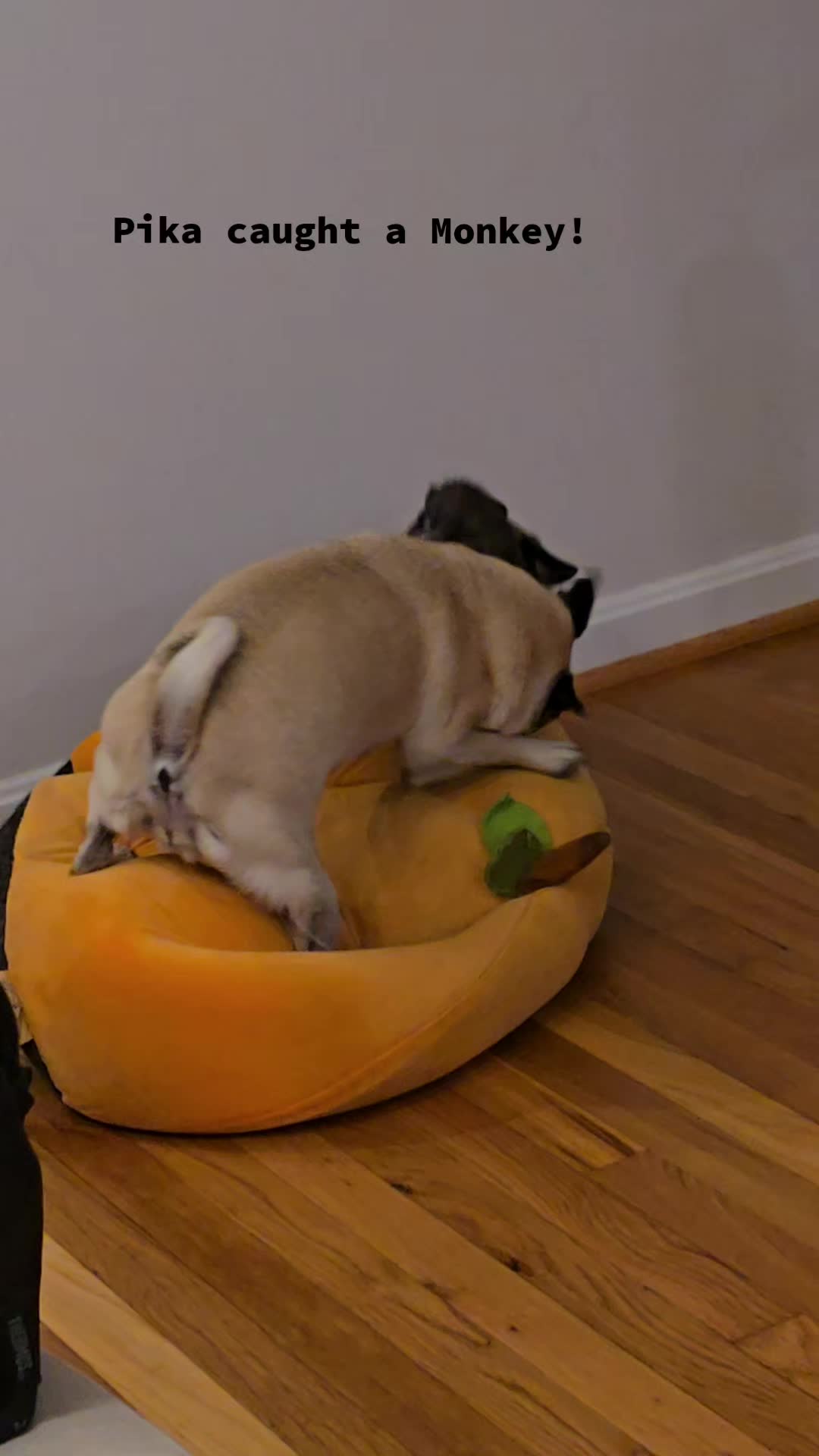 @Bah Humpug