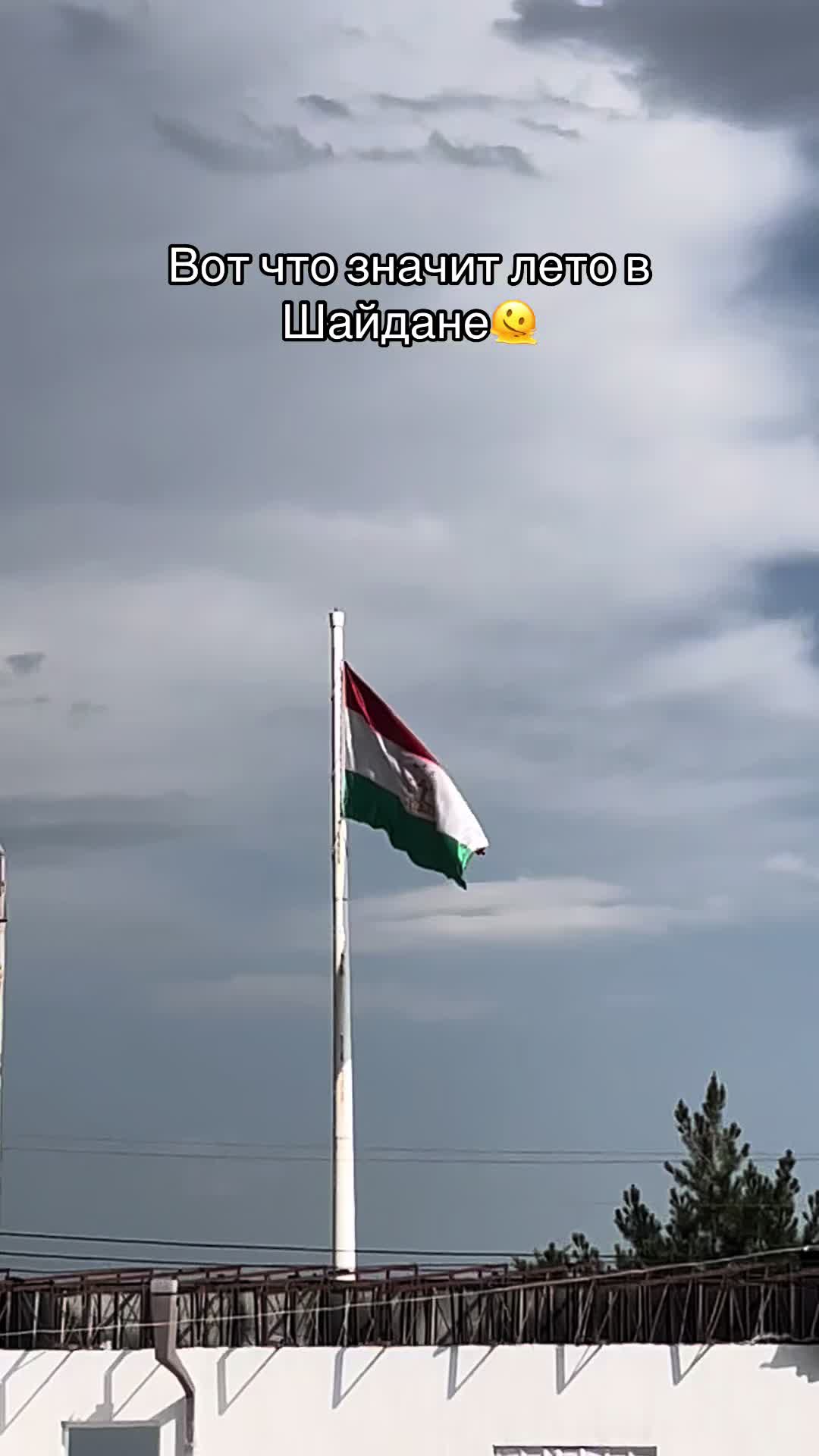 @𝑷𝒆𝒓𝒔🇹🇯