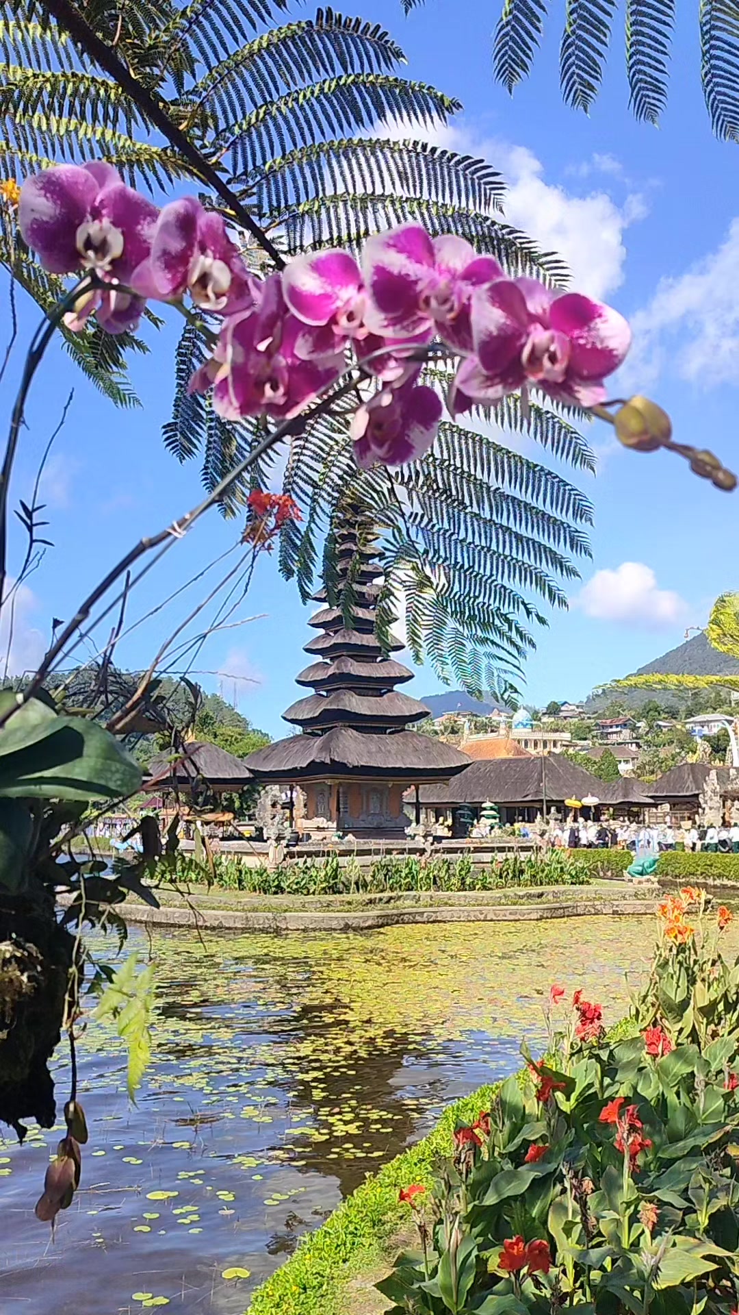 @Sentir_nurbali.com