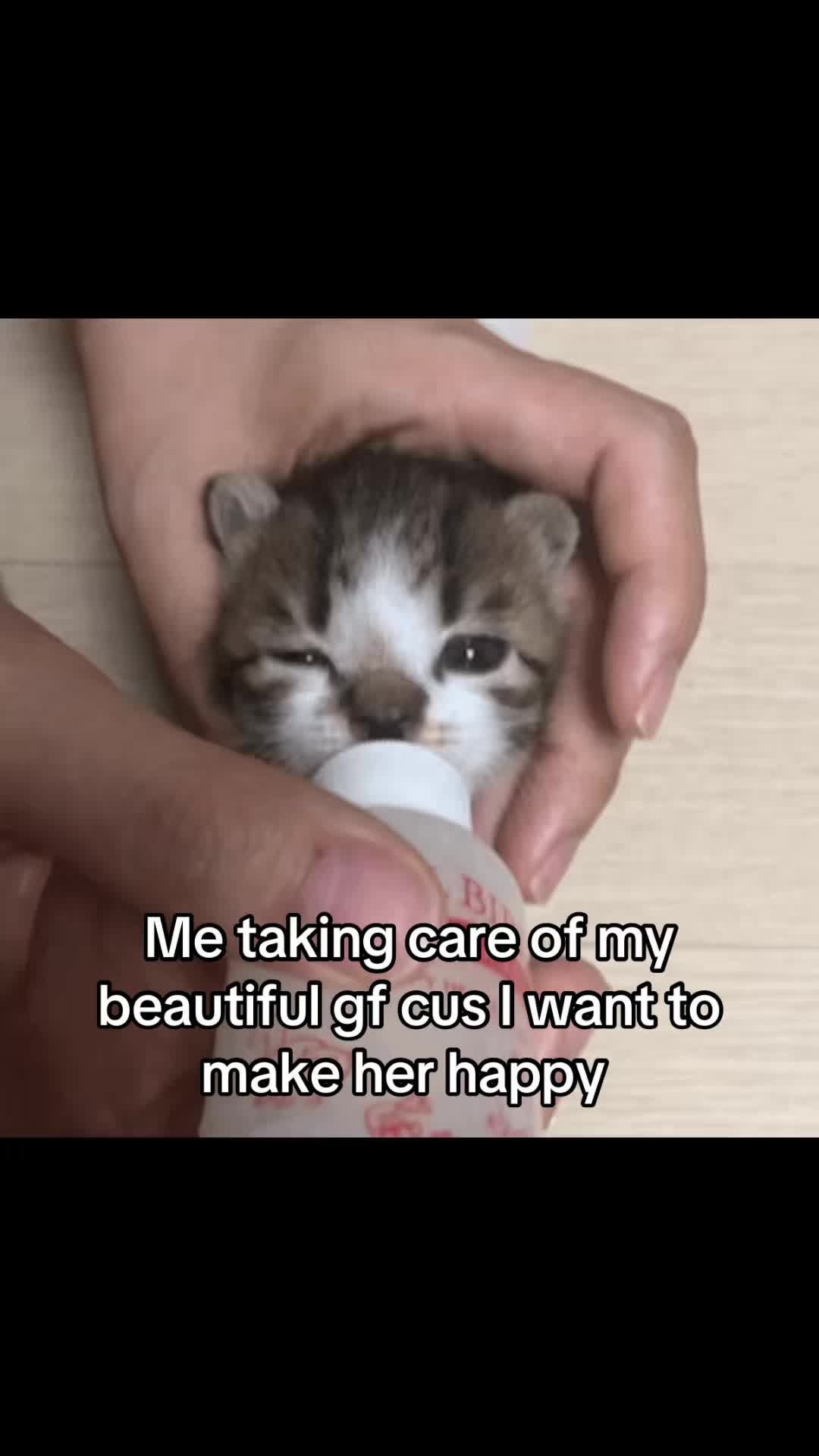 @LavanderCat