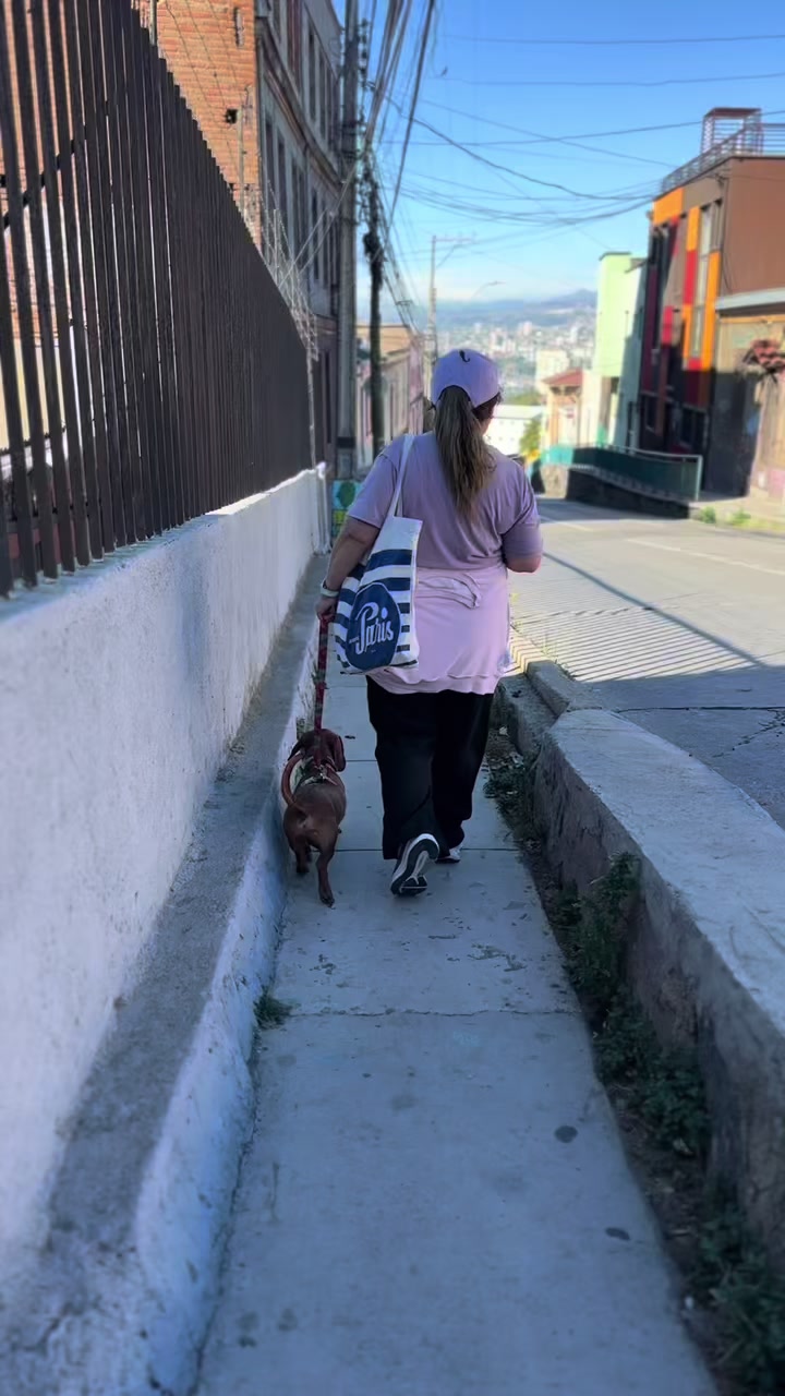 @Panda y su Salchiaventuras🐼🌭