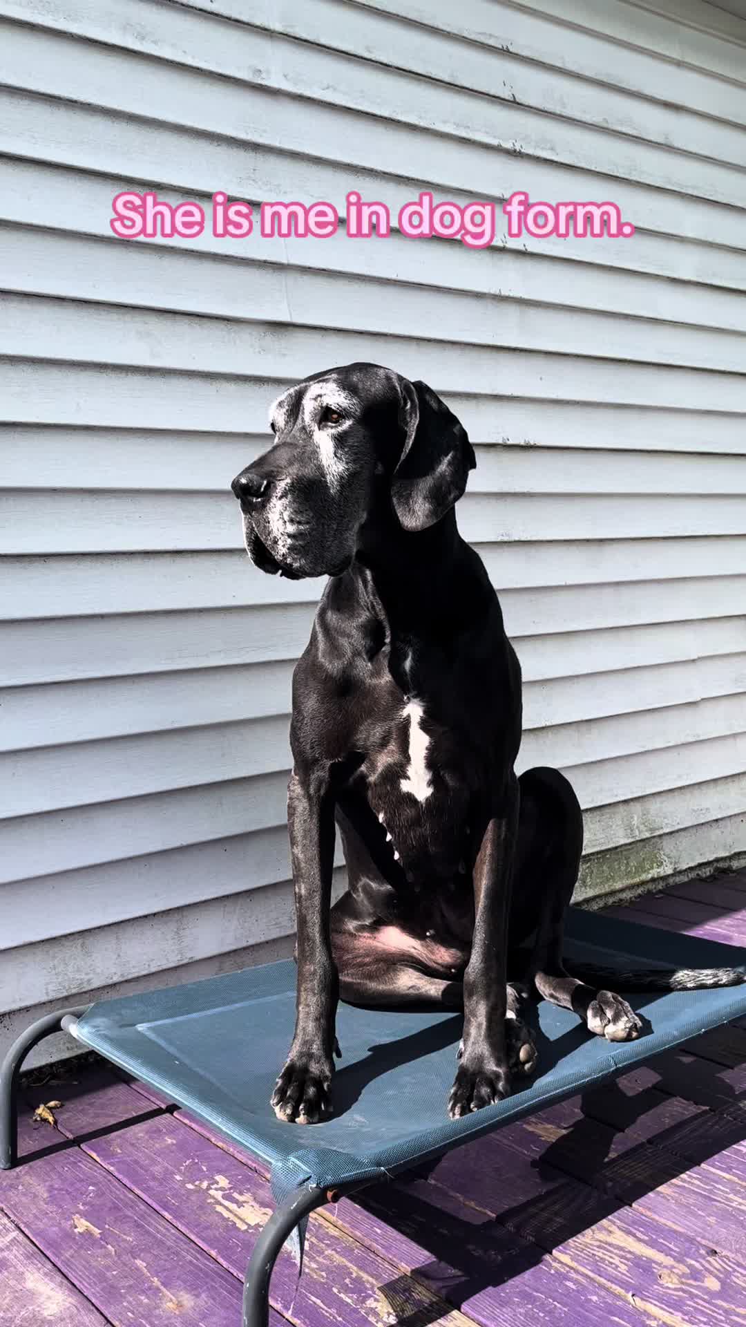 @ruffined.k9