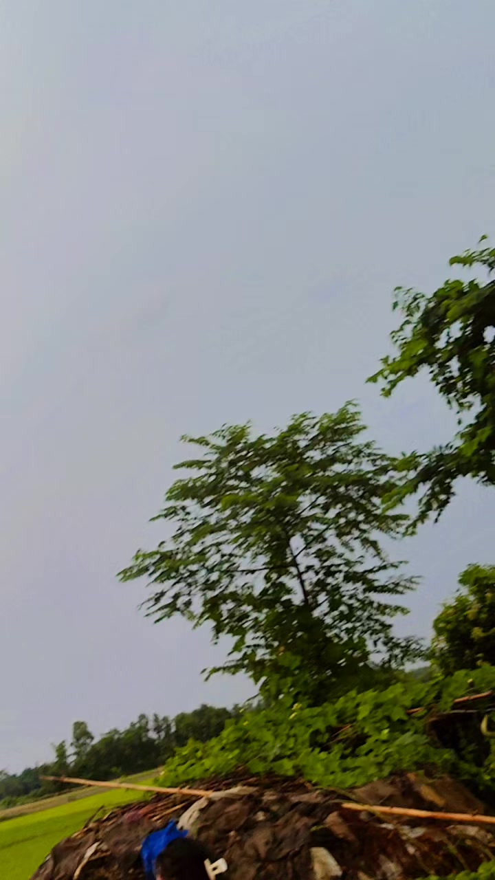 @amritachaudhary