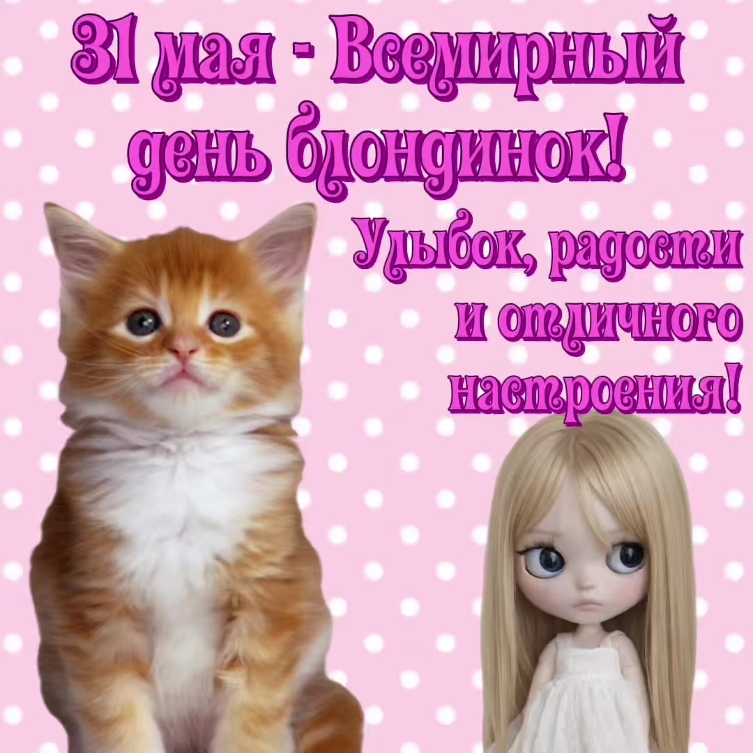 @котики на каждый день