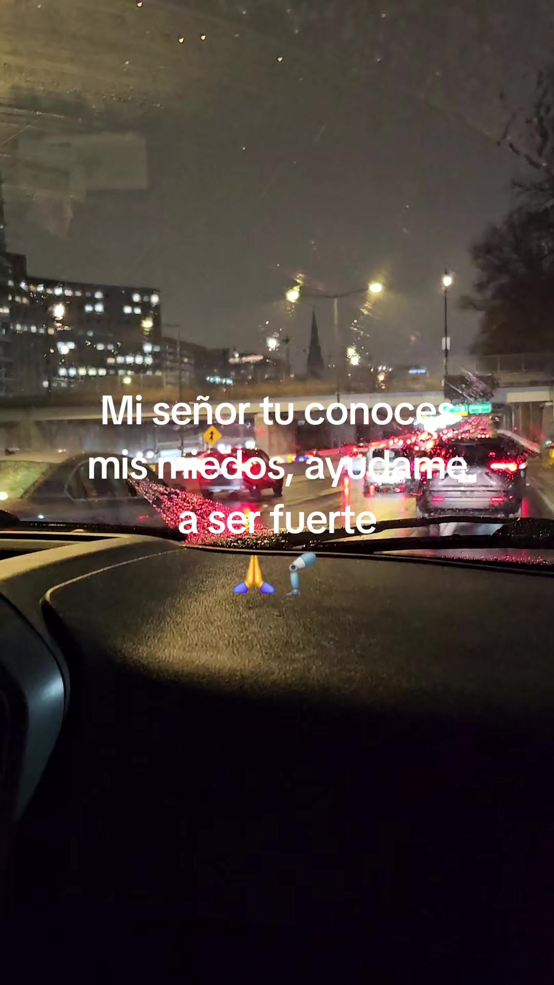 @Chica Bionica🦿🇸🇻🦮🪫