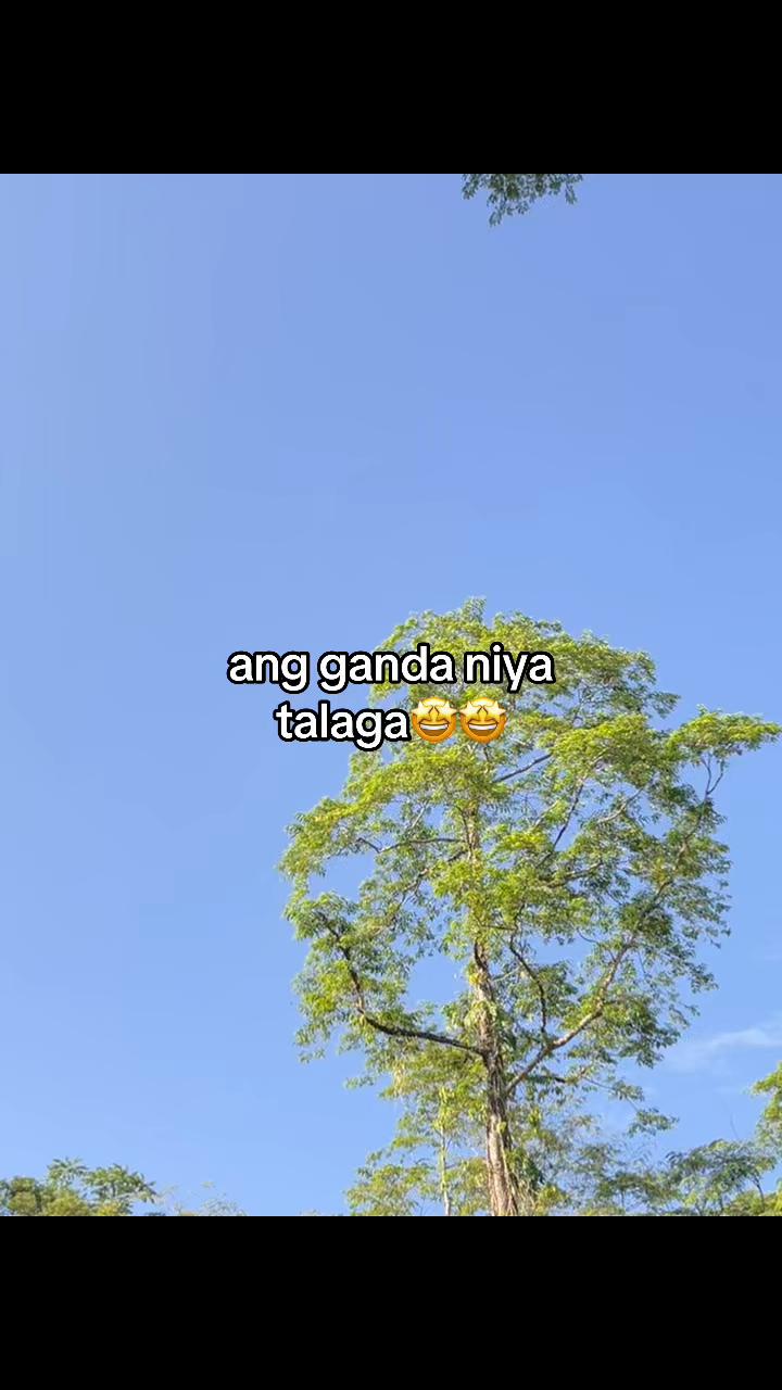 @gelothan_5