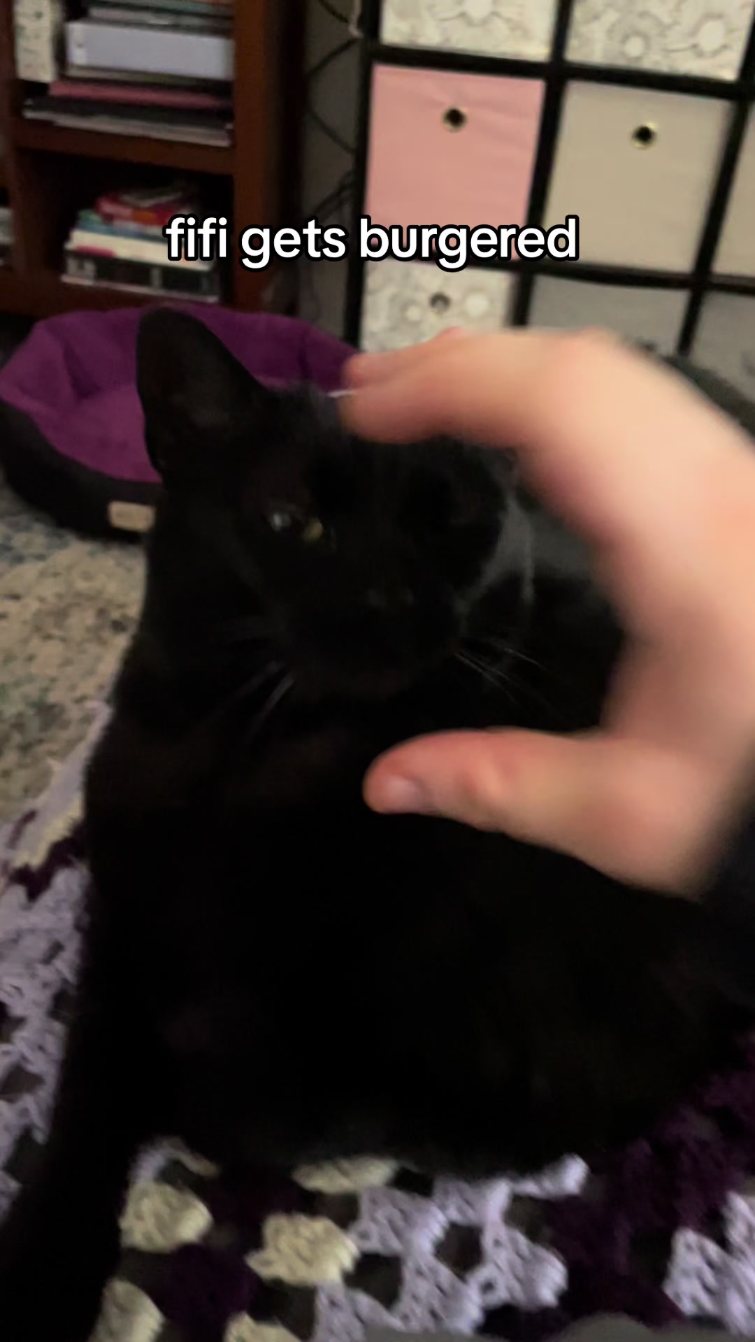 @Fifi La Floof