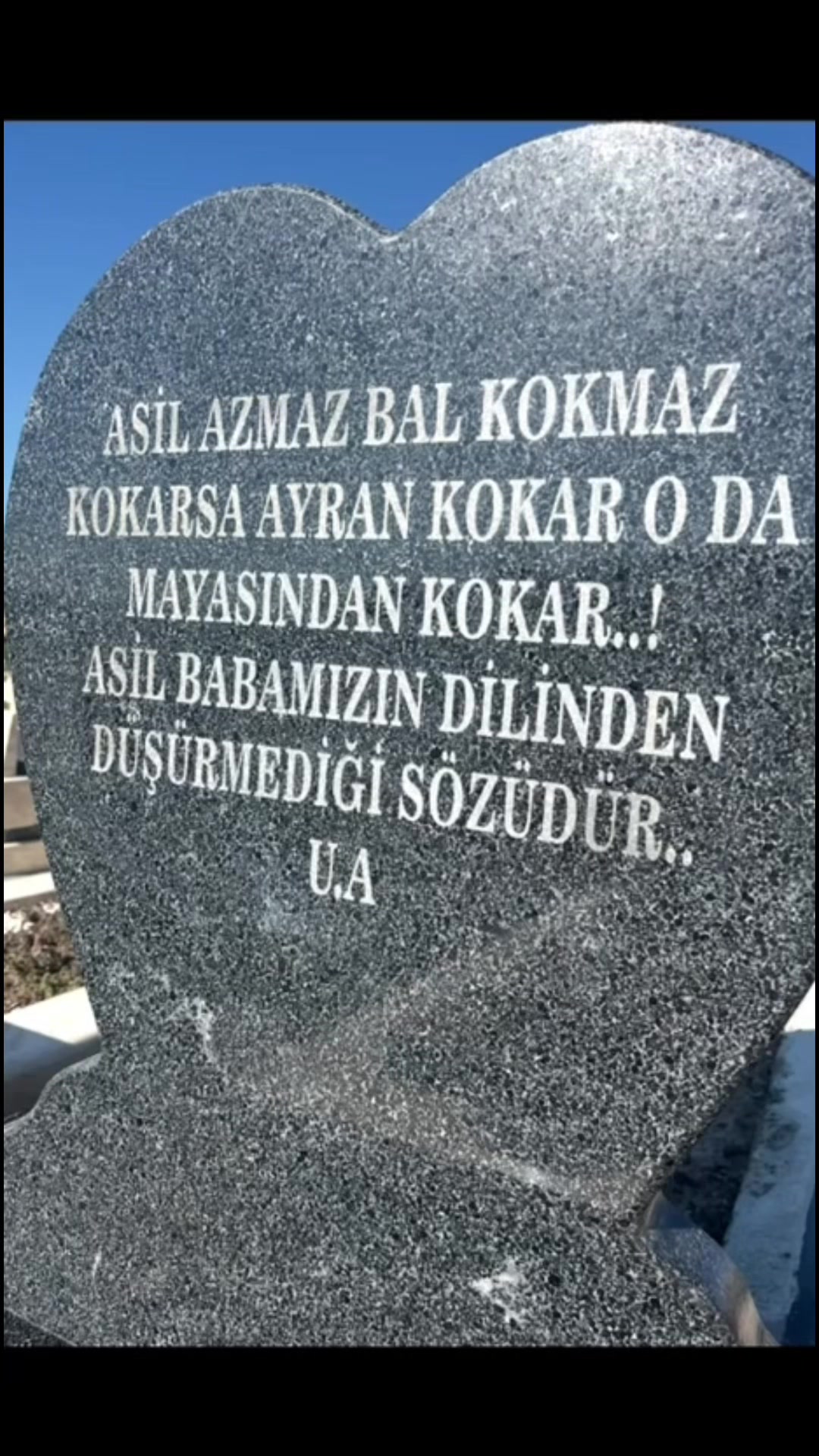 @Gönül Acehan