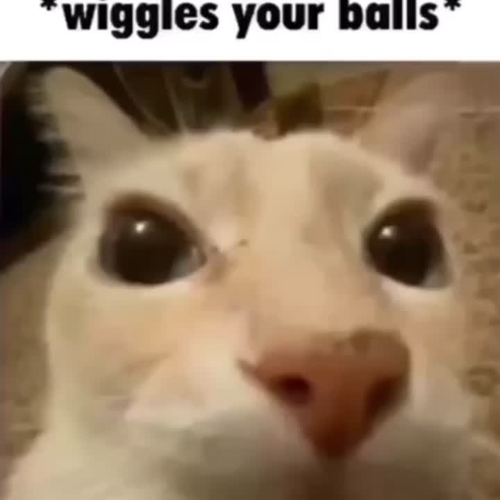 @FoxShot2000