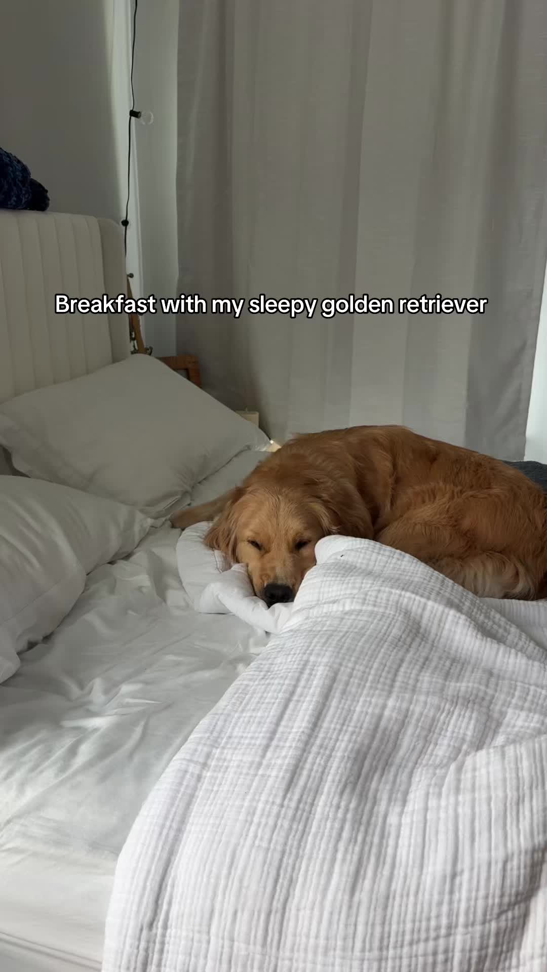 @Winter the Golden