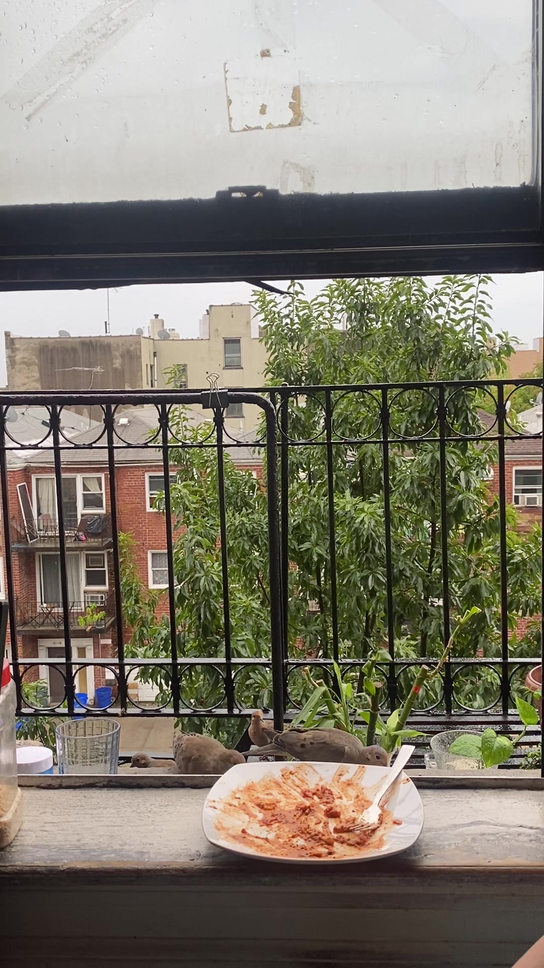 @Baljit_kaur