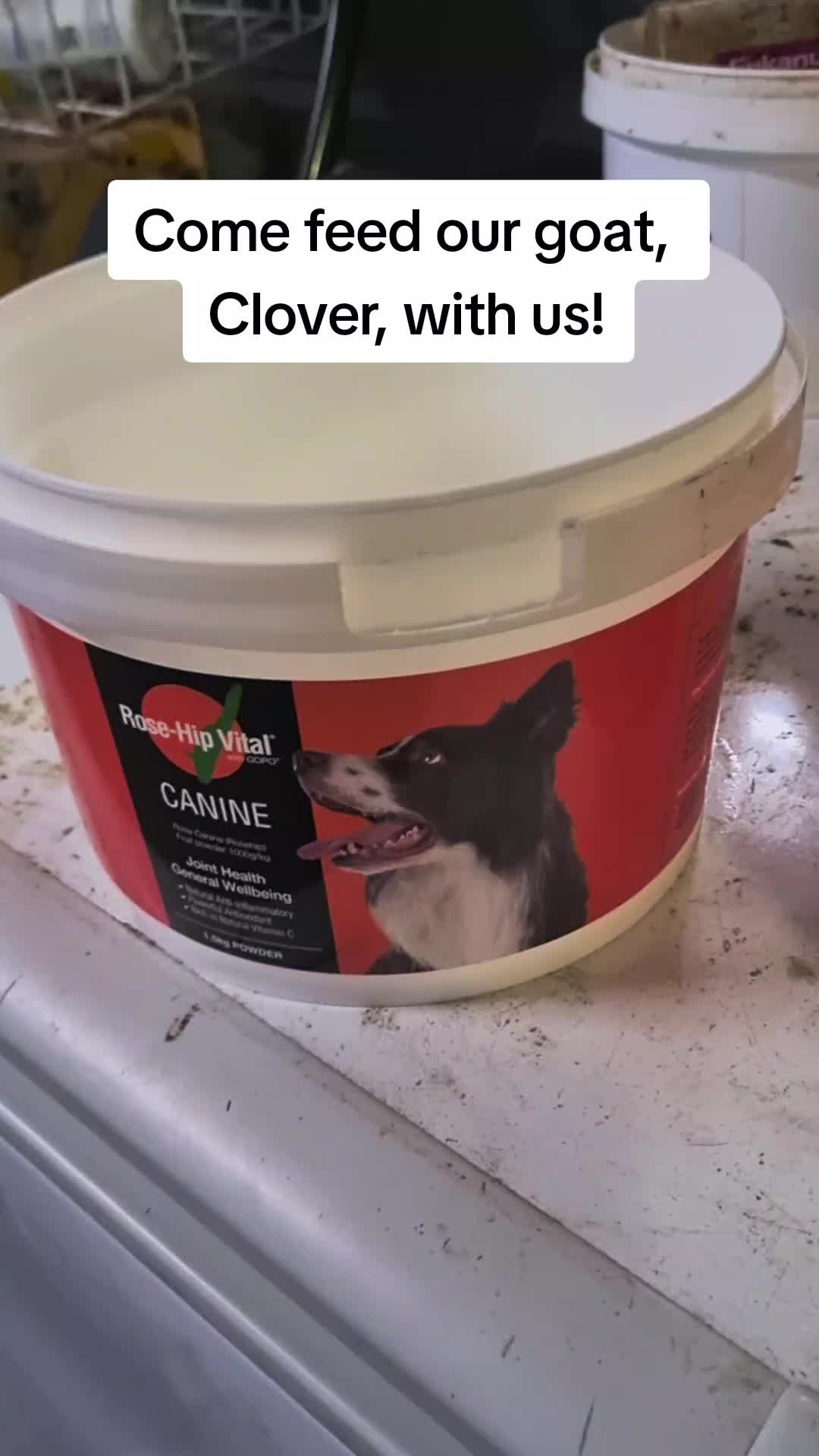 @Kodak & Crew