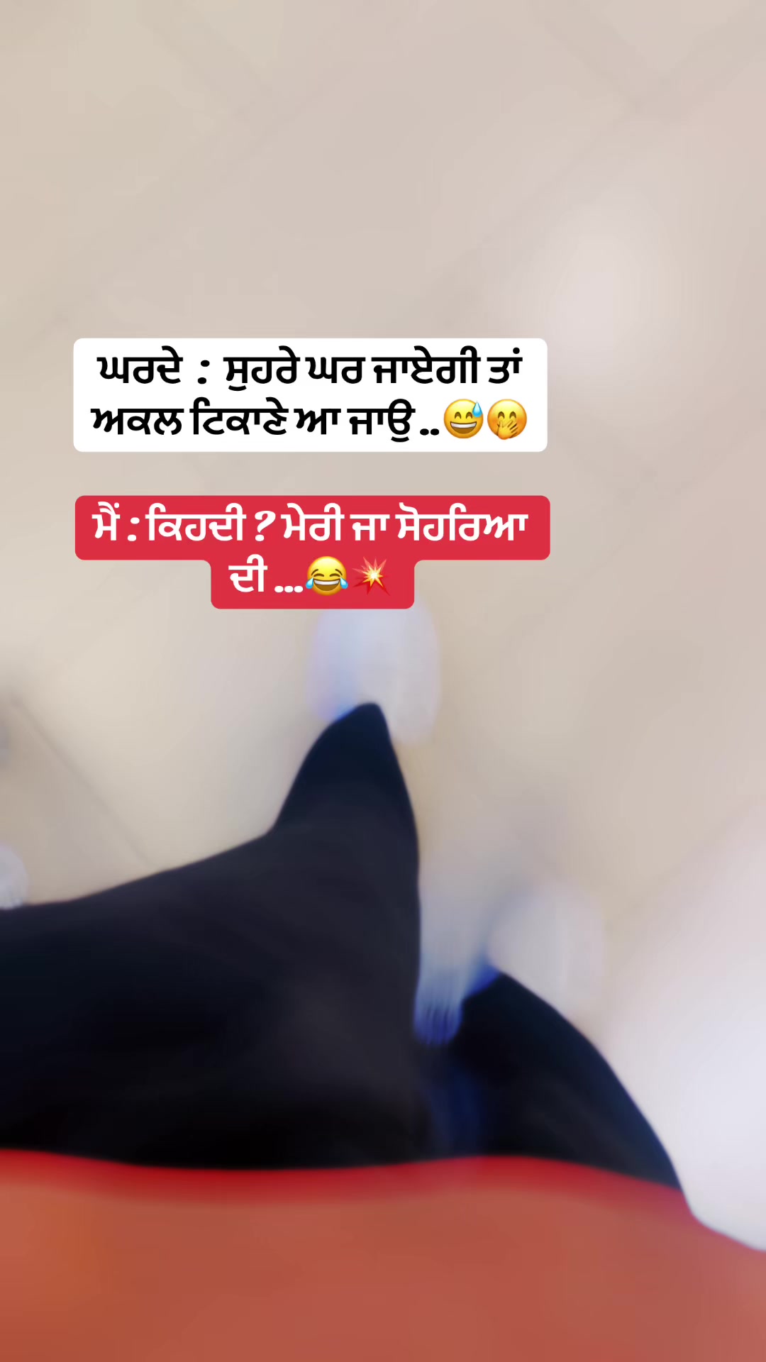 @💕ɖɛɛք💕