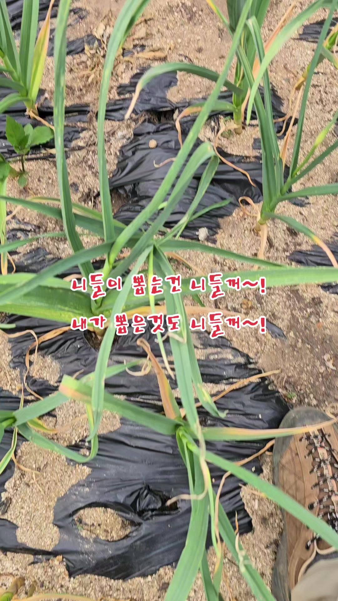 @나는 자연인이다 ~🤪