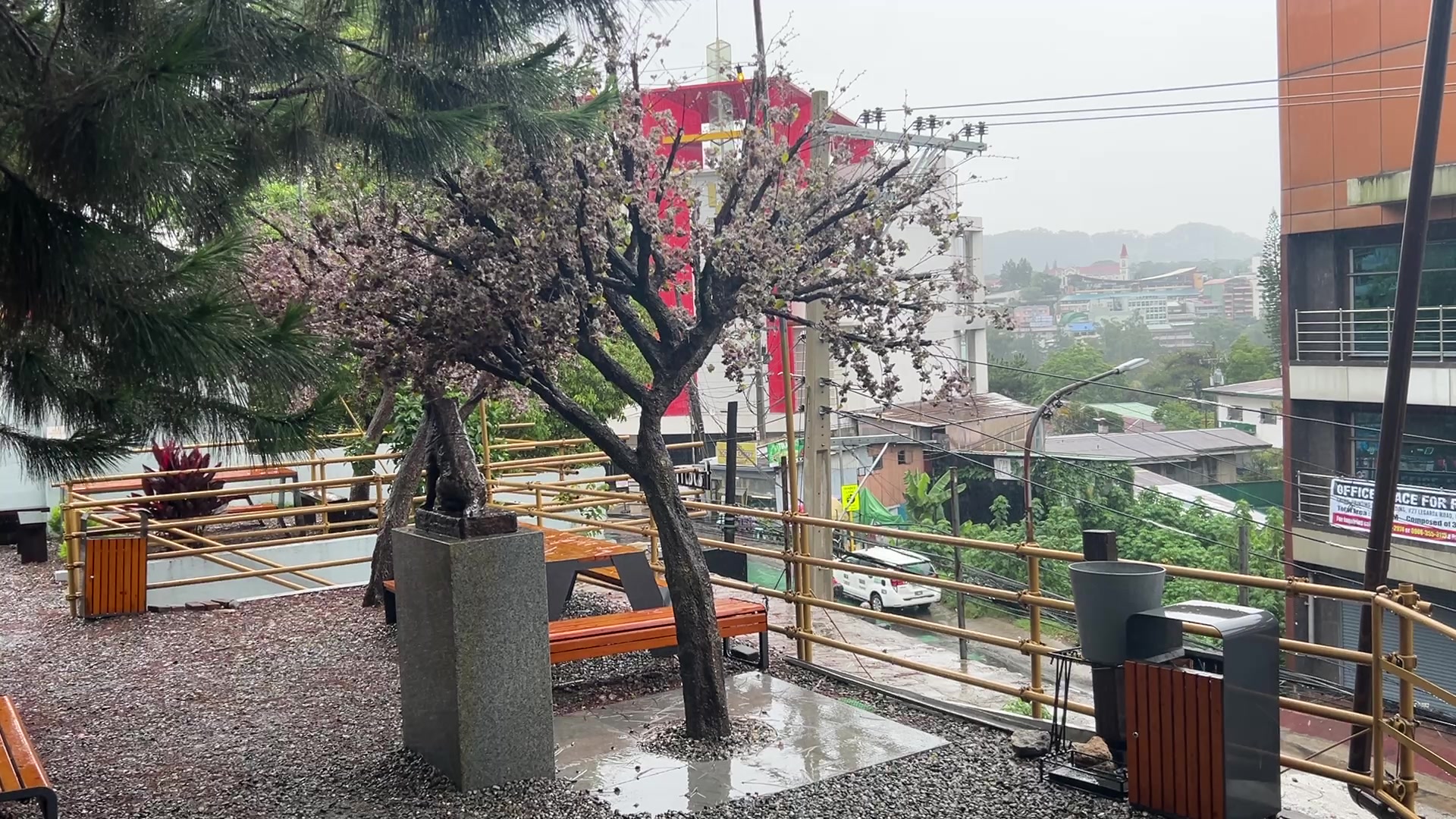 @Jei Chua DR 🇵🇭