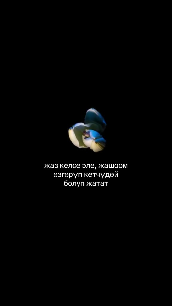@667