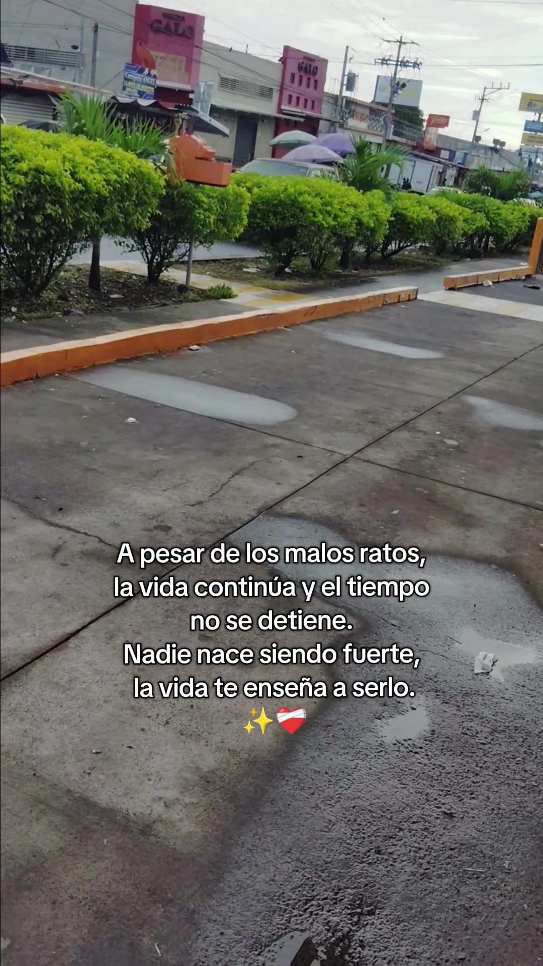 @Lilianita Ayala🫶💋❤️