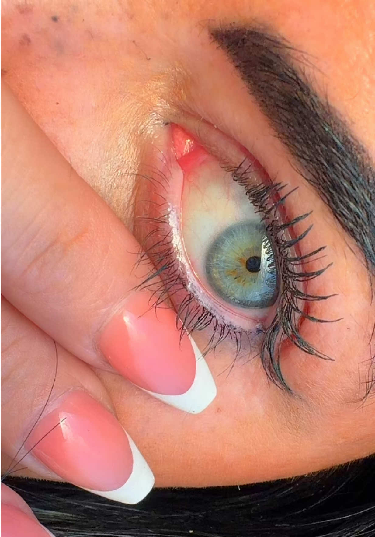 @stellaversini