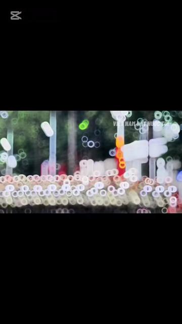 @Việt Nam Đất Nước Tôi ❤️