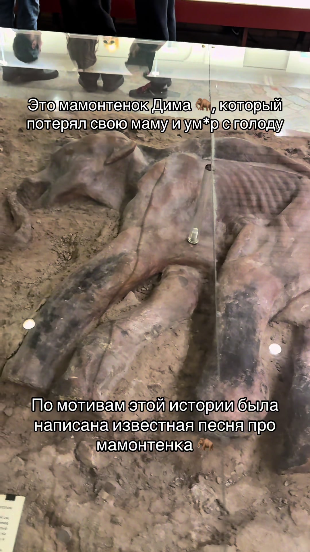 @Сергей