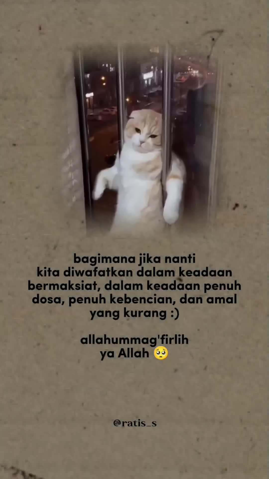 @ratsss