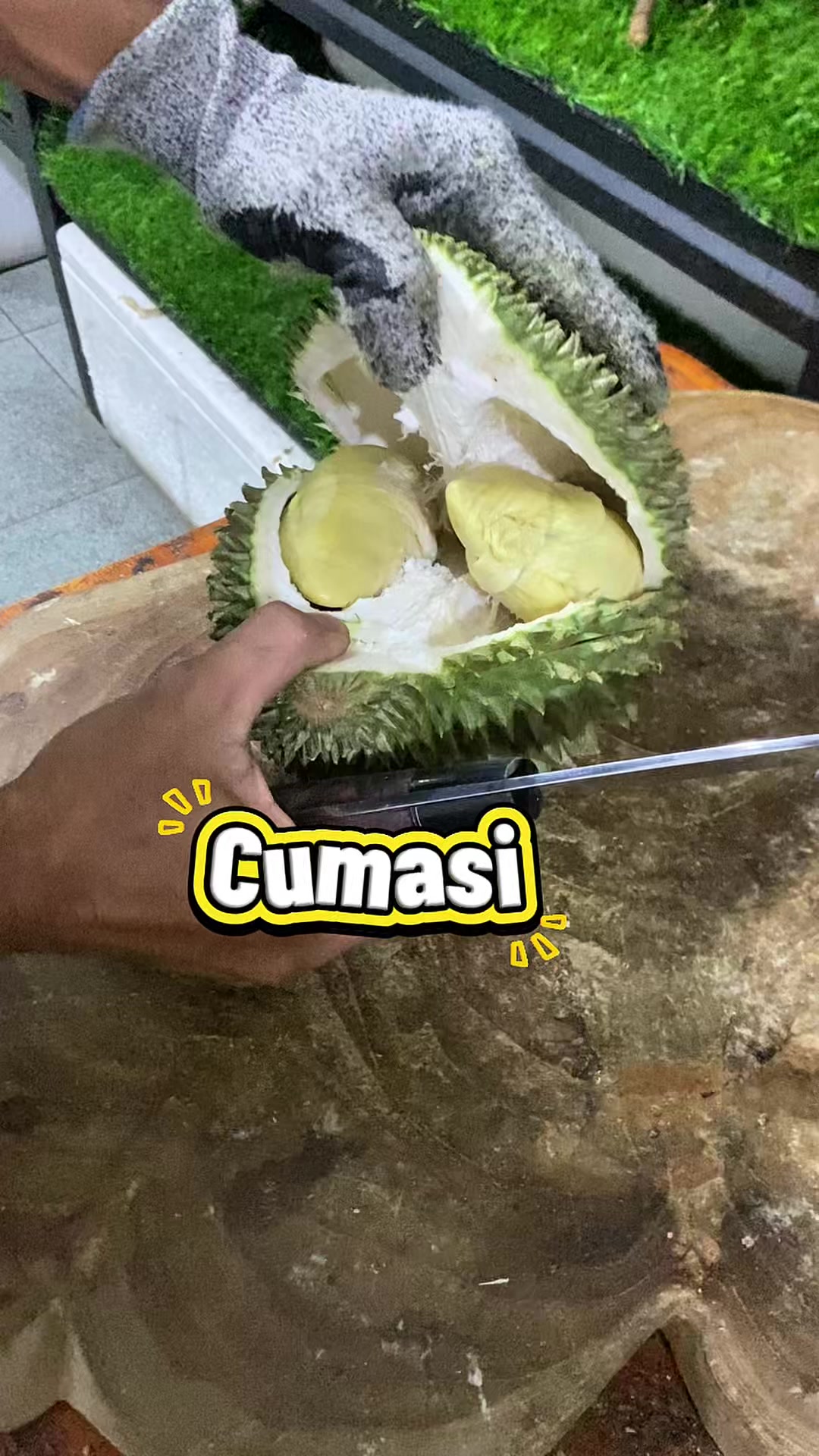 @CICIP DURIAN