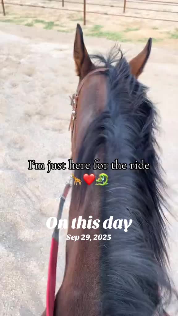 @💍❤️Mary Zaudke❤️💍