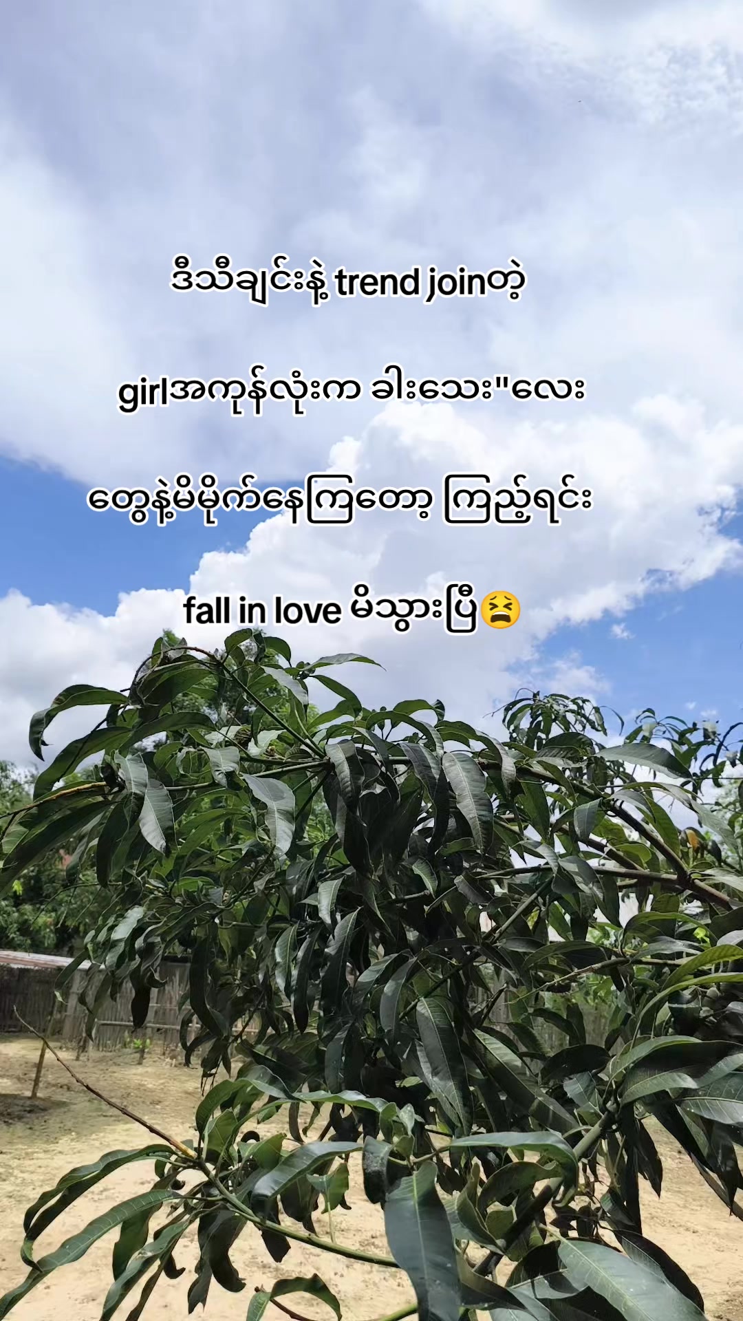 @🍃အမ်"Bi🍀