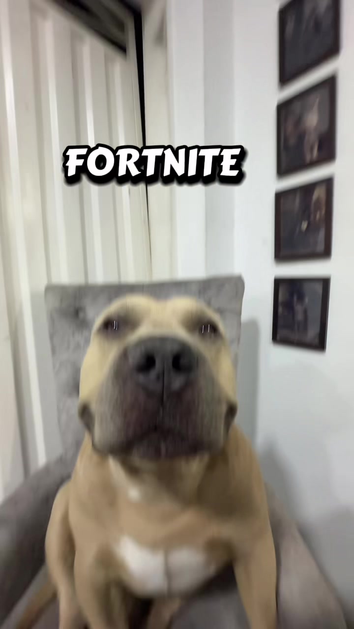@Vikingo606
